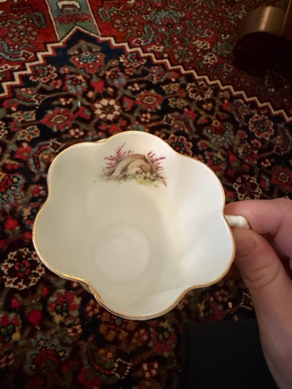 Rare Shelley England Fine Bone China cup and saucer - Picture 6 of 10